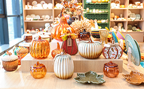 Customer Service Hotline